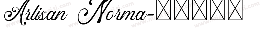 Artisan Norma字体转换